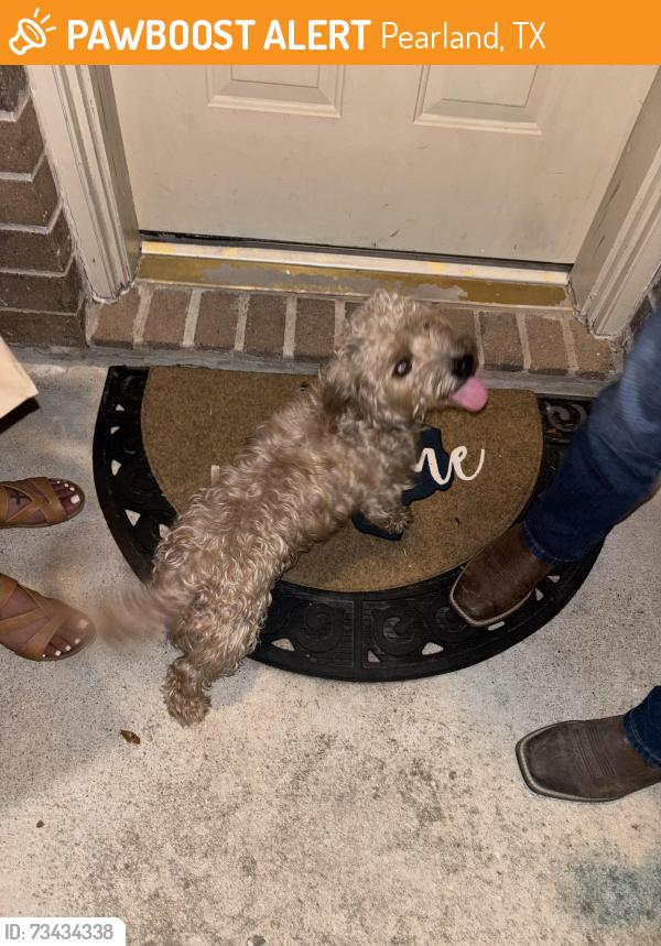 Found/Stray Unknown Dog last seen Park village ests, Pearland, TX 77584