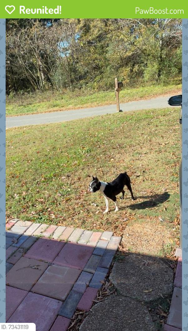 Reunited Male Dog last seen Near brooks rd off of riverbend, Dalton, GA 30721