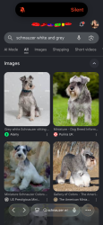 Found/Stray Male Dog last seen LEO apmts Bristol, Bristol, WI 53104