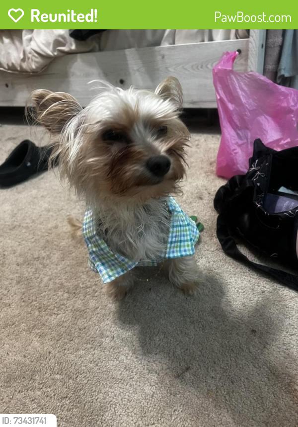 Reunited Male Dog last seen Near Brucewood dr - pinetta, Richmond, VA 23235
