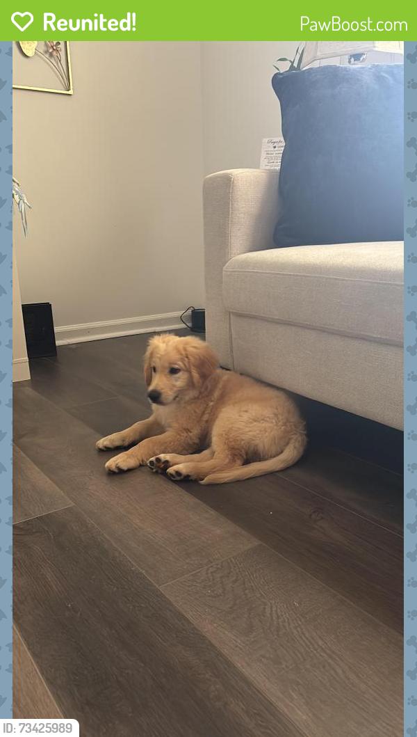 Reunited Male Dog last seen Oakland rd, McDonough, GA 30253