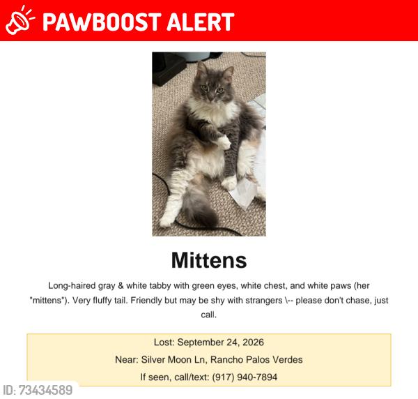 Lost Female Cat last seen Silver Moon Lane & Diamondhead Lane, Rancho Palos Verdes, CA 90275