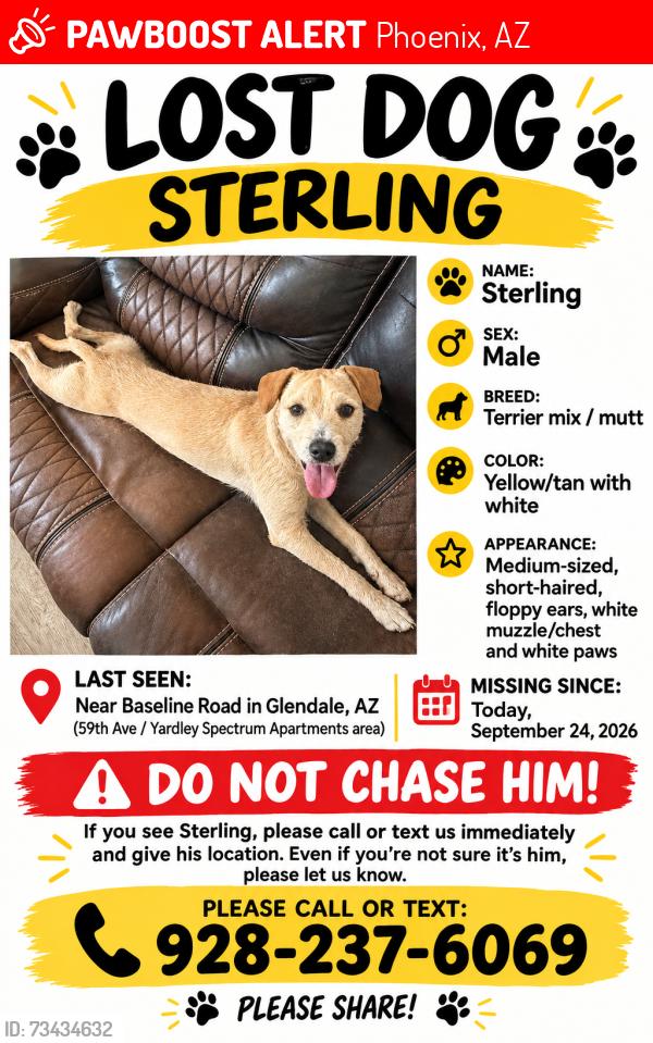 Lost Male Dog last seen 59th Avenue near Baseline, Phoenix, AZ 85339