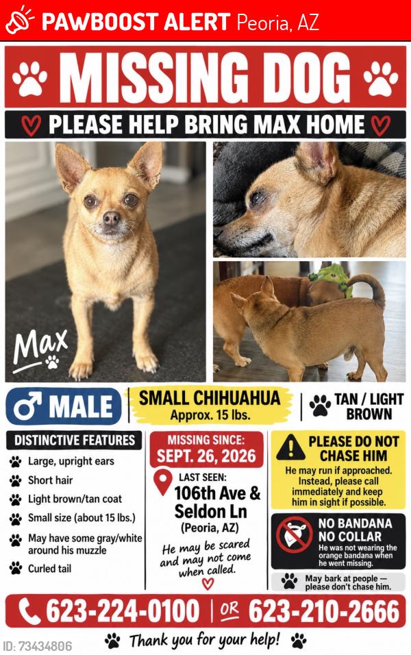 Lost Male Dog last seen 106th ave and Seldon, Peoria, AZ 85345