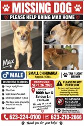 Lost Male Dog last seen 106th ave and Seldon, Peoria, AZ 85345