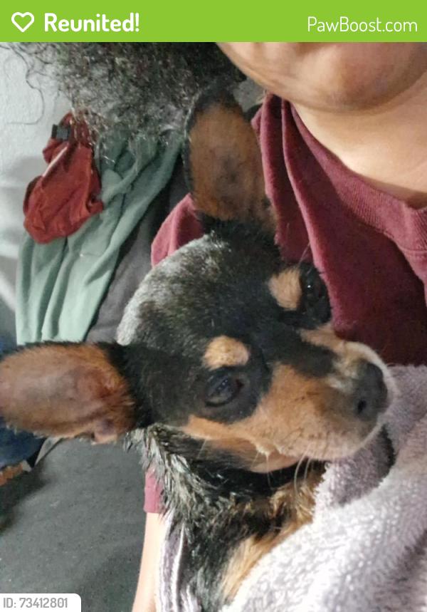 Reunited Female Dog last seen Near Glenn ave, Modesto, CA 95358
