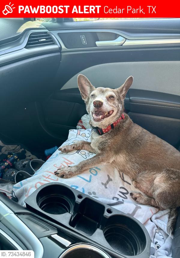 Lost Male Dog last seen Near cypress creek Gardens, Cedar Park, TX 78613