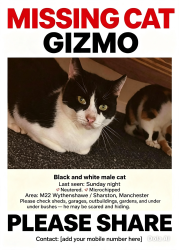 Lost Male Cat last seen Manchester, Wythenshawe, England 