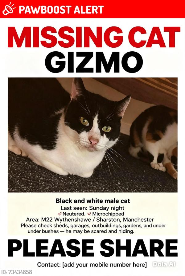 Lost Male Cat last seen Manchester, Wythenshawe, England 