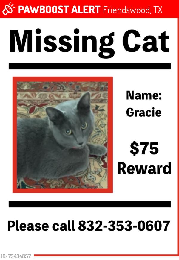 Lost Female Cat last seen El Dorado Blvd, Friendswood, TX 77546