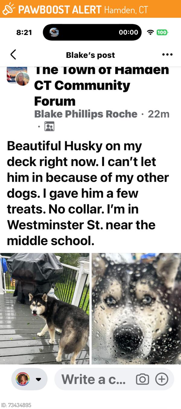 Found/Stray Male Dog last seen Middle School, Hamden, CT 06518
