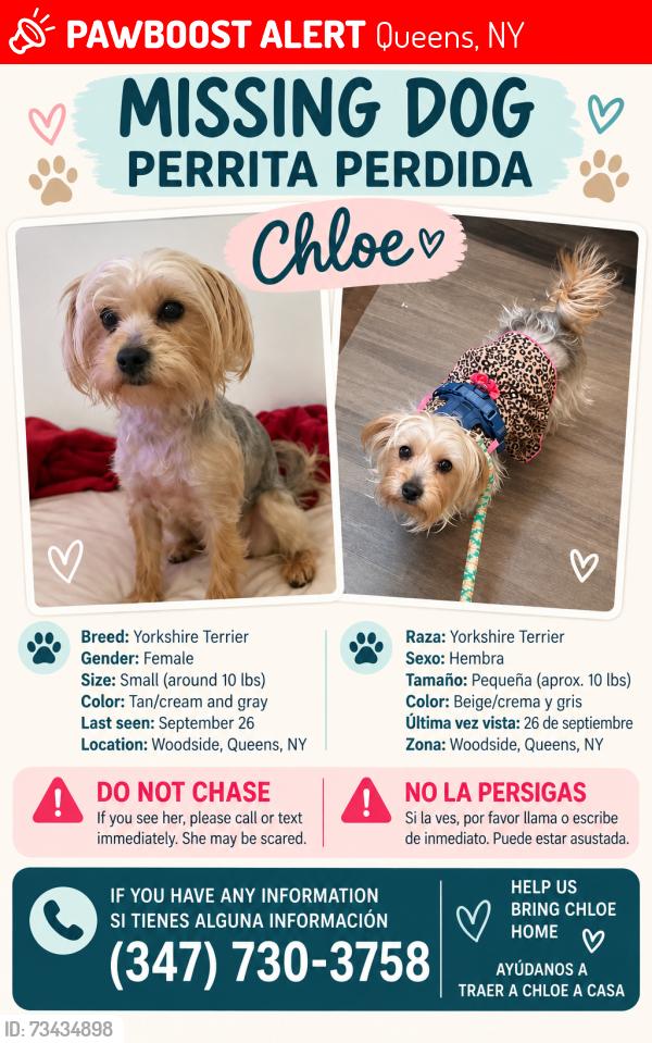 Lost Female Dog last seen Woodside, queens, Queens, NY 11377