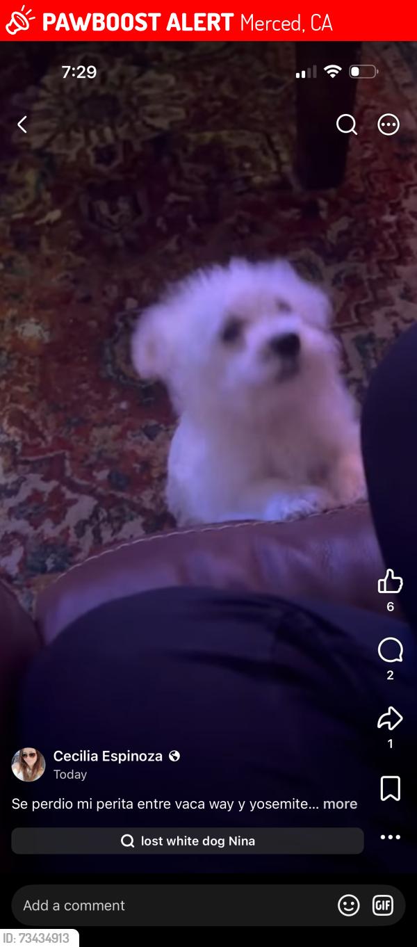 Lost Female Dog last seen Vaca way & yosemite, Merced, CA 95340