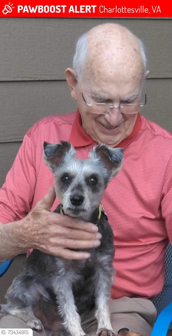 Lost Female Dog last seen Johnson Village, Charlottesville, VA 22903