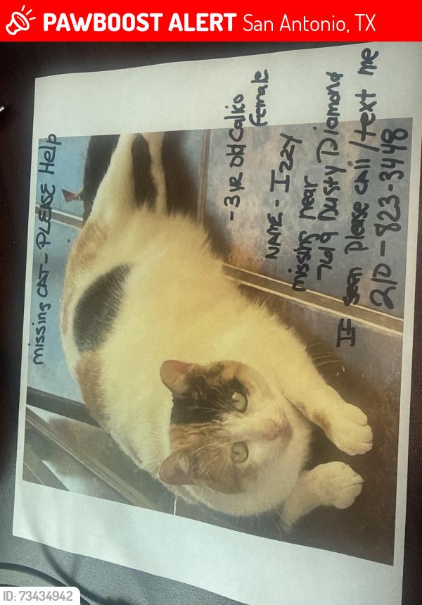 Lost Female Cat last seen Babcock and hausman, San Antonio, TX 78249
