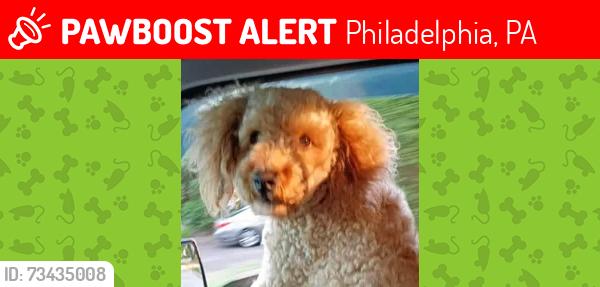 Lost Male Dog last seen Near State Rd. Philadelphia, Pennsylvania Pennypack Pth, Philadelphia, PA 19136, USA, Philadelphia, PA 19136