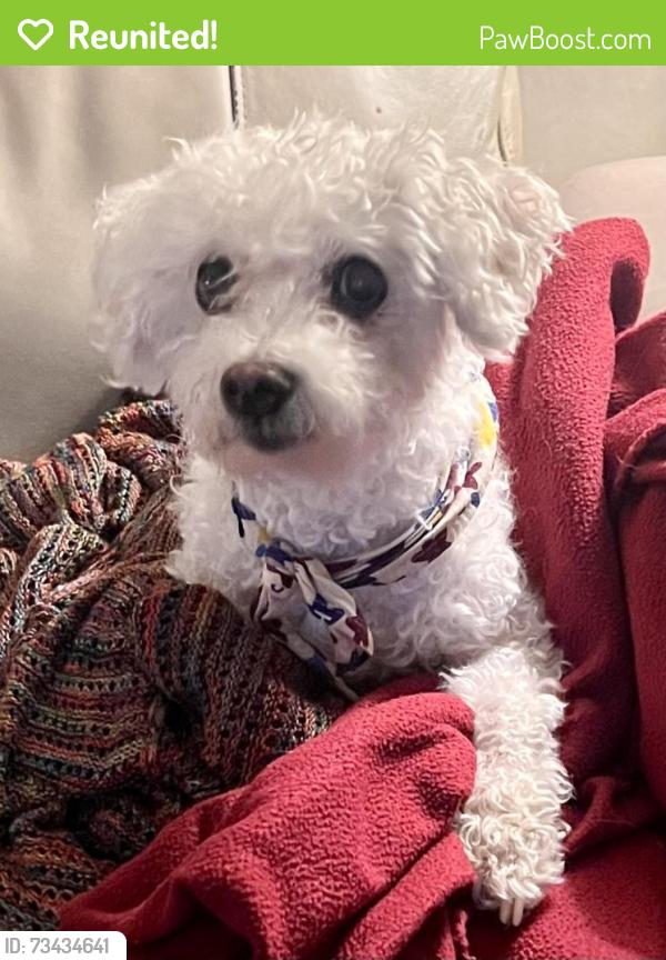 Reunited Male Dog last seen Oxmoor Rd, Birmingham, AL 35209