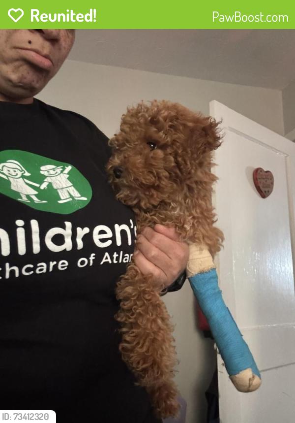 Reunited Male Dog last seen Near Holly St NW, Atlanta, GA 30318, USA, Atlanta, GA 30318