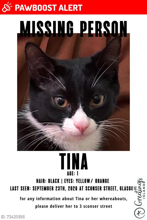 Lost Female Cat last seen Near sconser street, Glasgow City, Scotland 