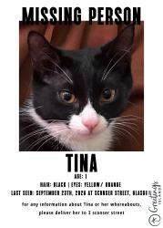 Lost Female Cat last seen Near sconser street, Glasgow City, Scotland 
