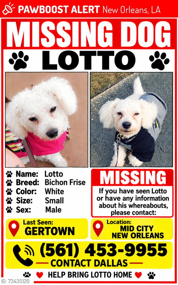 Lost Male Dog last seen S telemachus St/ gertown, New Orleans, LA 70125