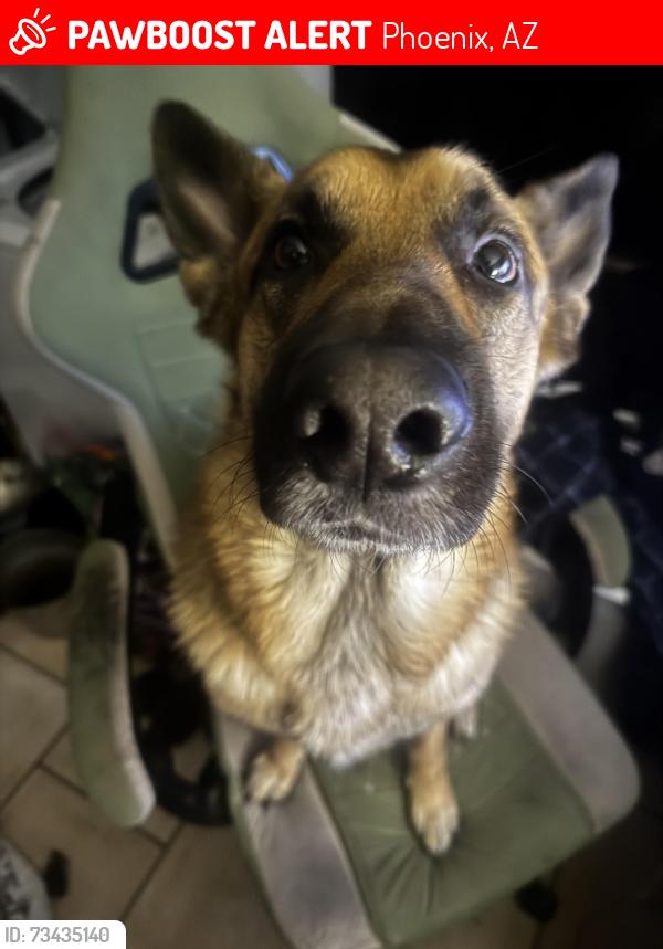 Lost Male Dog last seen Near W McKinley St, Phoenix, AZ 85043, Phoenix, AZ 85043
