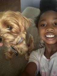 Lost Female Dog last seen Blackwell area, Richmond, VA 23224