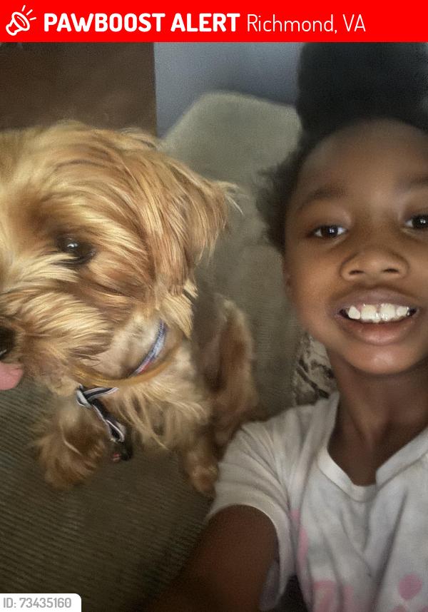 Lost Female Dog last seen Blackwell area, Richmond, VA 23224