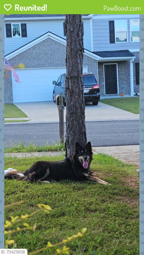 Reunited Male Dog last seen Wilkerson rome, Rome, GA 30165