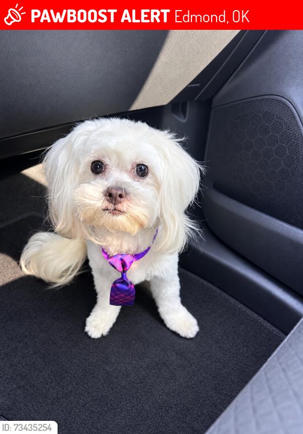 Lost Male Dog last seen Near Cassy's, Edmond, OK 73013