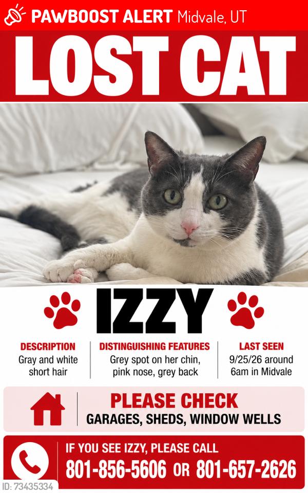Lost Female Cat last seen Near S 500e, Midvale, UT 84047
