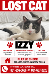 Lost Female Cat last seen Near S 500e, Midvale, UT 84047