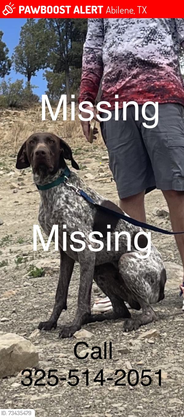 Lost Male Dog last seen Spinks rd, Abilene, TX 79603