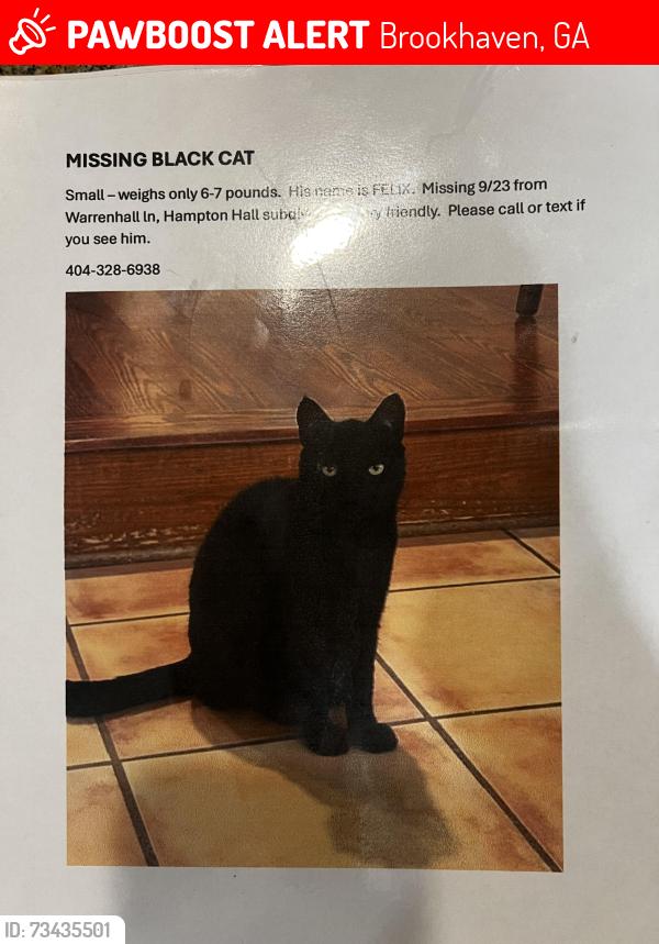 Lost Male Cat last seen Warrenhall ln and Hampton Hall dr, Brookhaven, GA 30319