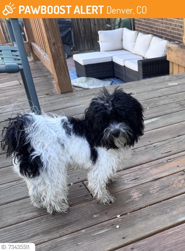 Found/Stray Unknown Dog last seen Near e Dartmouth ave, Denver, CO 80231