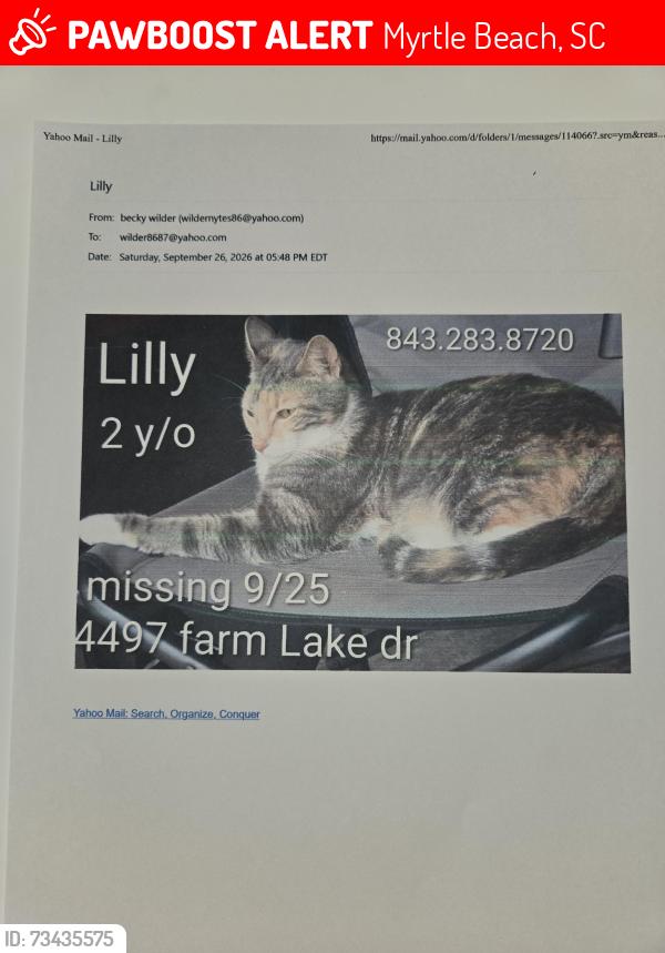 Lost Female Cat last seen The Farm, Myrtle Beach, SC 29579