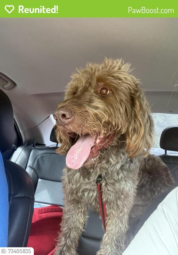 Reunited Male Dog last seen Honey Creek and Ebenezer, Rockdale County, GA 30094