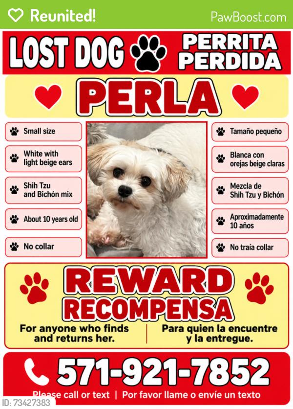 Reunited Female Dog last seen Tabscott dr, Chantilly, VA 20151