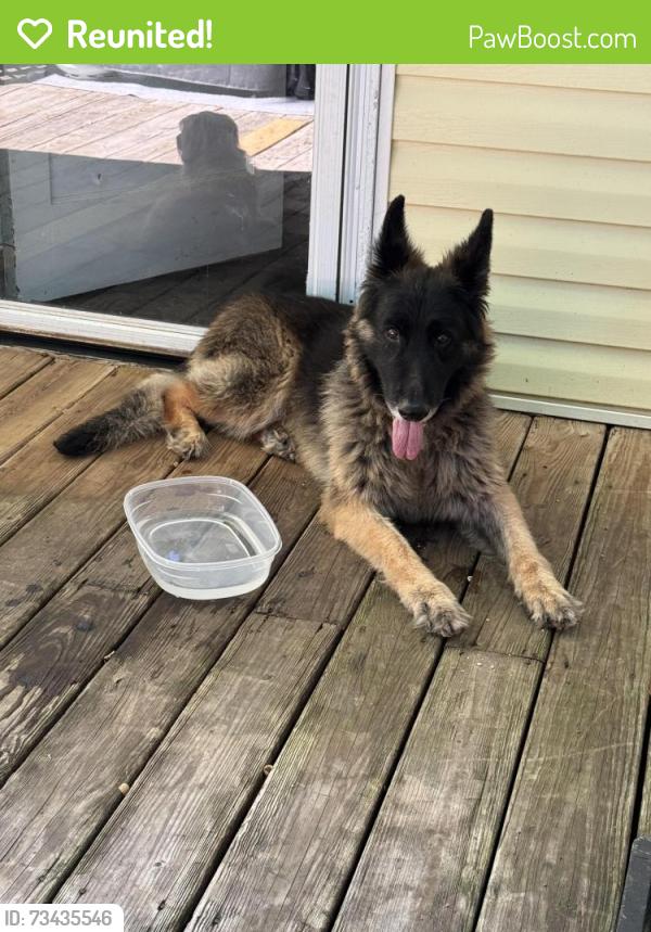 Reunited Female Dog last seen Wana, Mableton, GA 30126