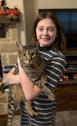 Reunited Male Cat last seen Aspen Park, Krum, TX 76249