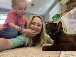 Reunited Male Cat last seen Backyards of Ralph Ct Wheaton, Wheaton, IL 60187