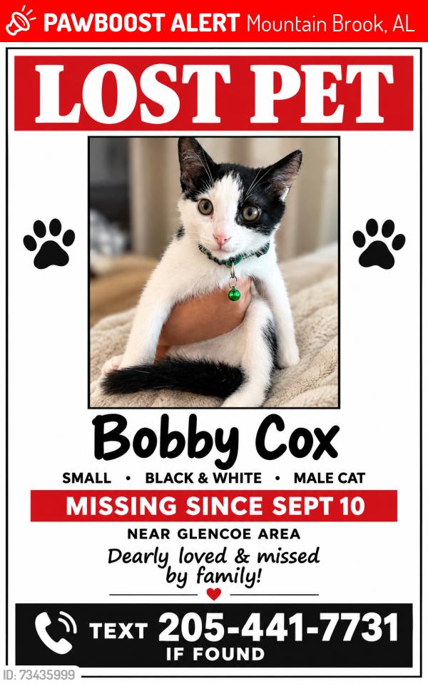 Lost Male Cat last seen Old Leeds Rd, Mountain Brook, AL 35213