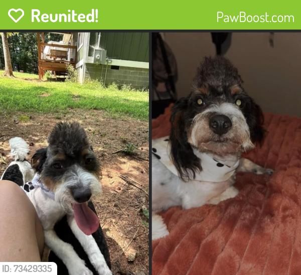 Reunited Male Dog last seen bishop carey, Madison County, GA 30633