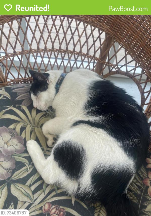 Reunited Male Cat last seen Ft McNair fitness center, Washington, DC 20319