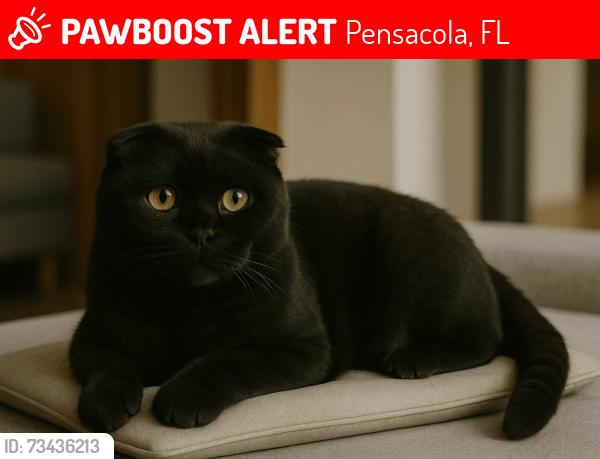 Lost Female Cat last seen Airway Dr, Pensacola, FL 32514
