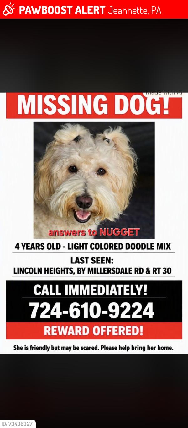 Lost Female Dog last seen Millersdale road, Jeannette, PA 15644