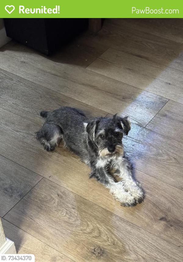 Reunited Male Dog last seen Roselle, Modesto, CA 95355