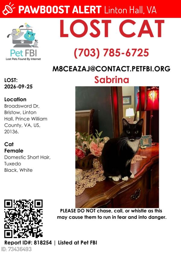 Lost Female Cat last seen Marsteller Middle School, Linton Hall, VA 20136