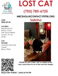 Lost Female Cat last seen Marsteller Middle School, Linton Hall, VA 20136
