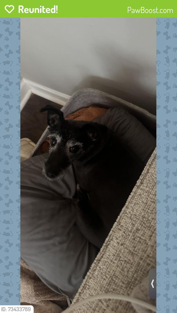 Reunited Female Dog last seen Bentwater drive, Acworth, GA 30101